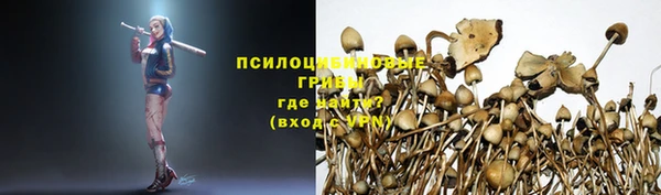 mdma Зеленокумск