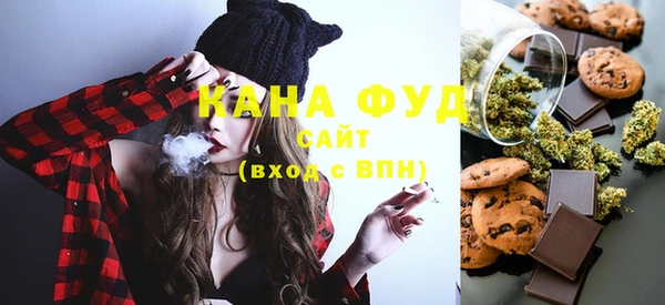 индика Зеленодольск