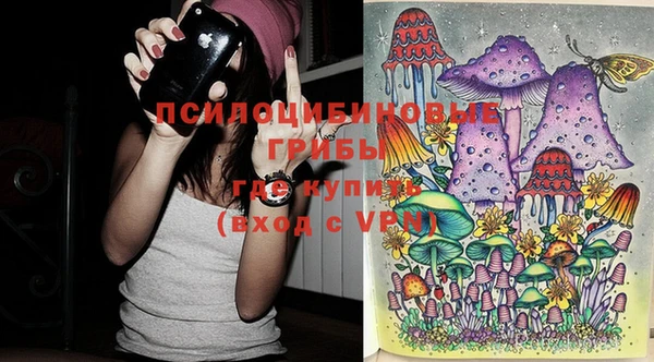 ГАЛЛЮЦИНОГЕННЫЕ ГРИБЫ Аркадак