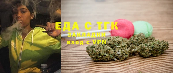 индика Зеленодольск