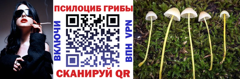 Псилоцибиновые грибы Cubensis Фатеж