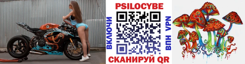 купить наркотики цена  Фатеж  shop наркотические препараты  Псилоцибиновые грибы Psilocybe 